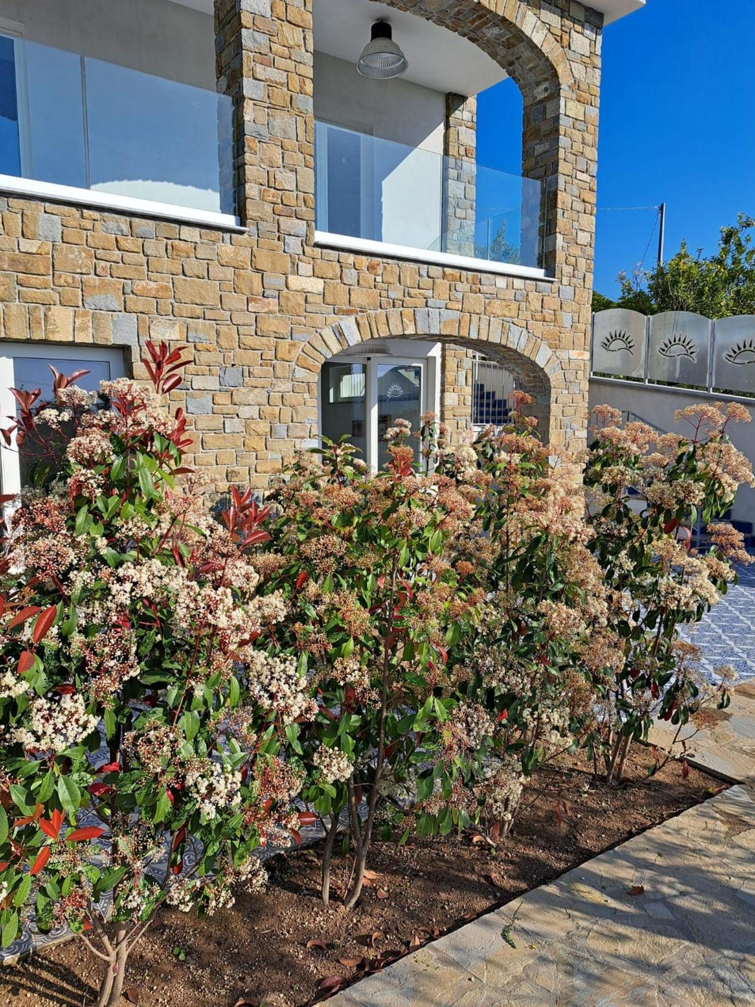 아그로폴리 Paoma B&B 외부 사진