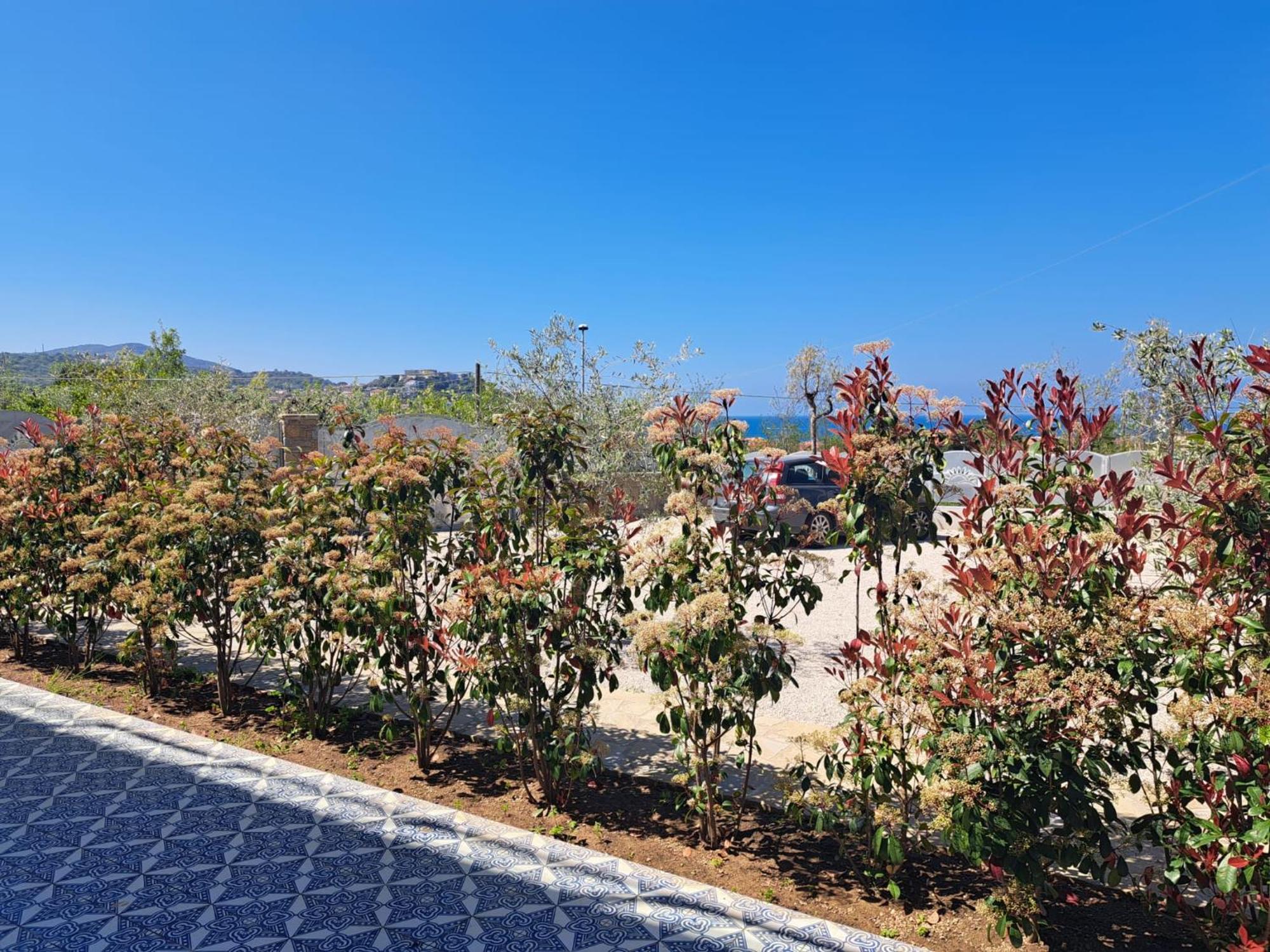 아그로폴리 Paoma B&B 외부 사진